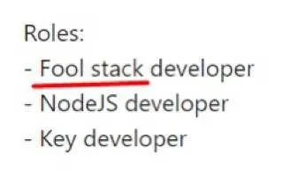 Fool Stack Developer Roles