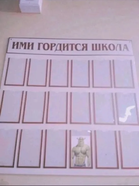 Ими гордится школа