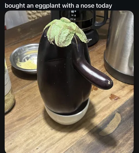 Eggplant With a Nose