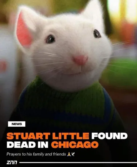 Stuart Little Found Dead