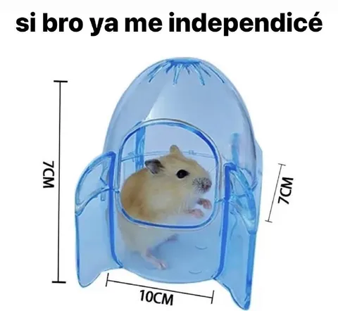 Hámster independizado en jaula diminuta