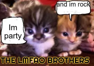 LMFAO Brothers Kittens