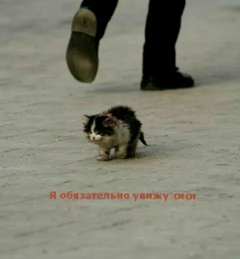 Я обязательно увижу смси