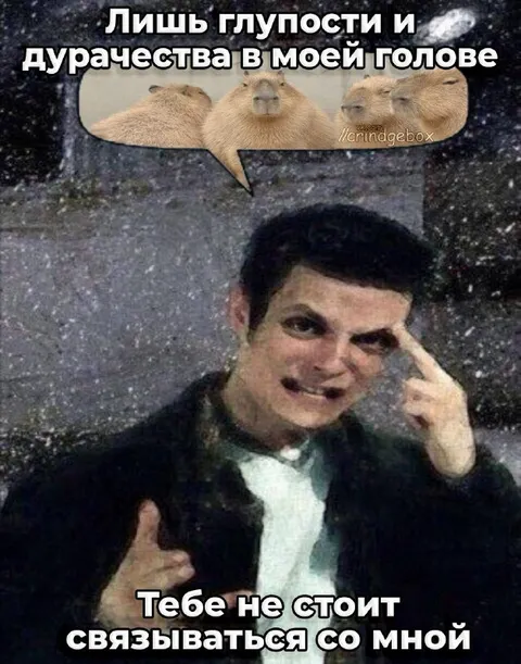 Глупости в моей голове