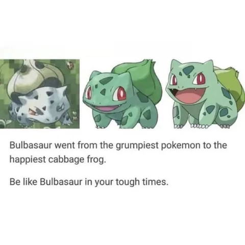 Bulbasaur’s Happy Evolution