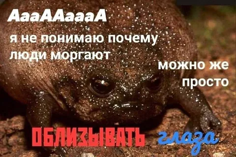 Можно же просто облизывать глаза