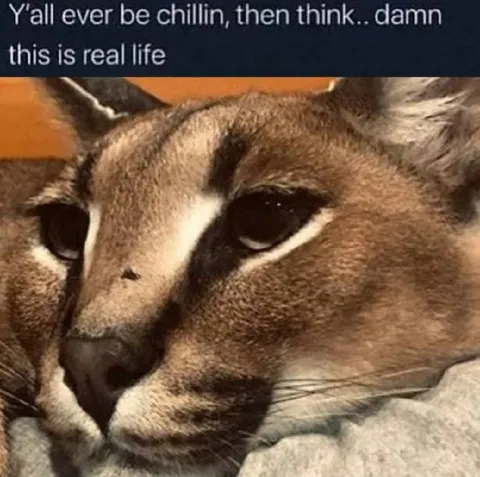 When Reality Hits