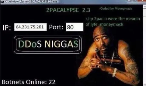 2Pac DDoS Attack Screen