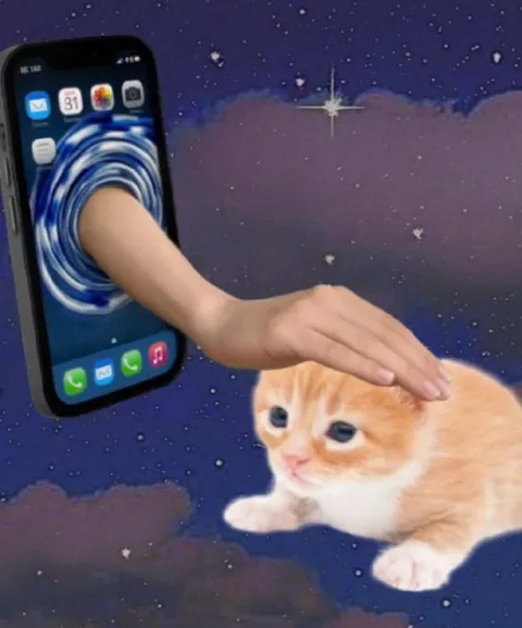 Телефон гладит котёнка