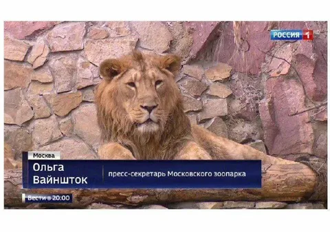 Пресс-секретарь Московского зоопарка