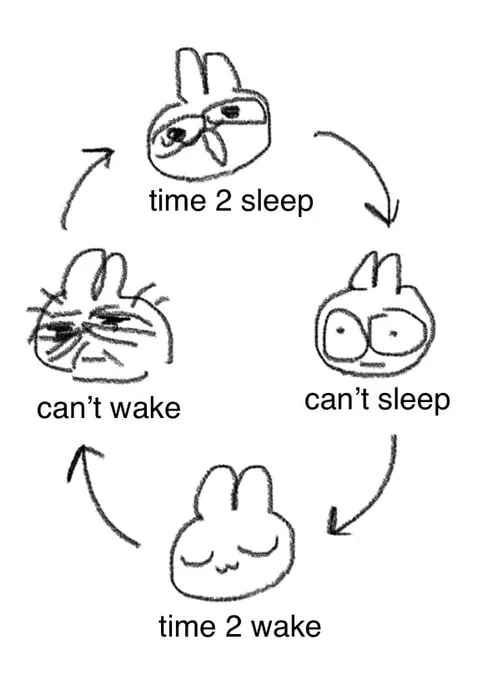 Can't Sleep Wake Cycle