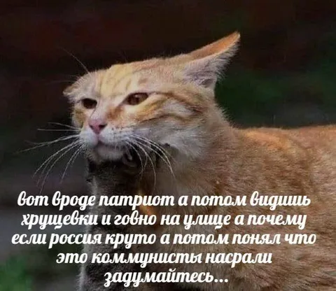 Патриот увидел хрущёвки