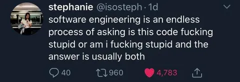 Software Engineering Is an Endless Process