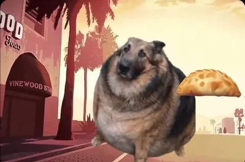 Fat Dog Turns Into an Empanada