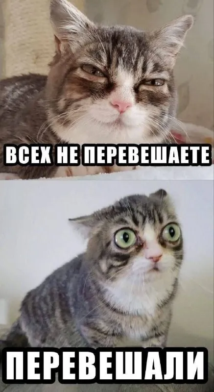 Всех не перевешаате