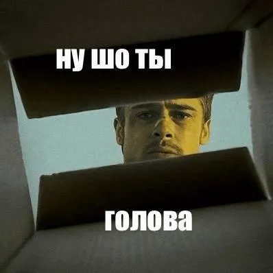 Ну шо ты голова