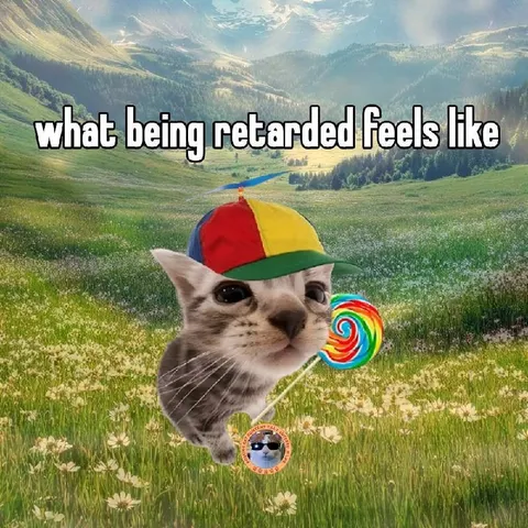 What Being Retarded Feels Like