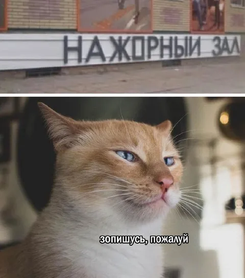 Запишусь в жорный зал