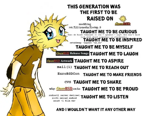 OpenBSD Taught Me Everything