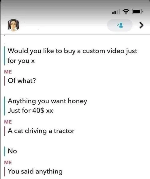 Cat Driving a Tractor