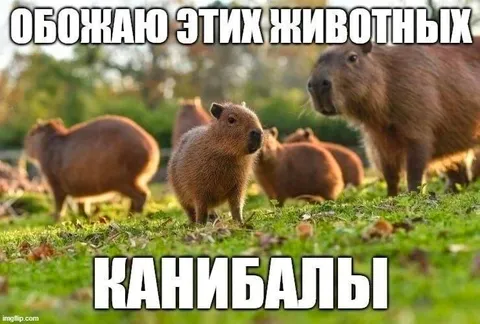Капибары-каннибалы