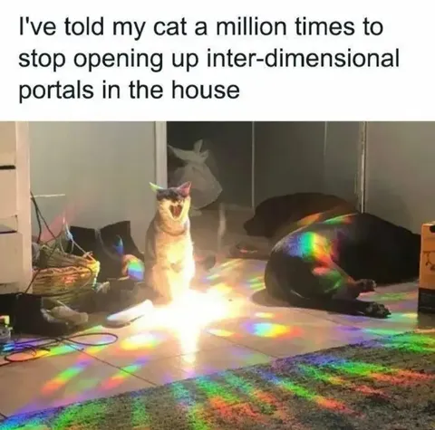 Cat Opens Inter-Dimensional Portals