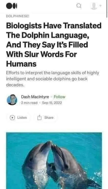 Dolphins Insult Humans