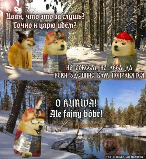 Doge идут к царю