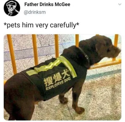 Pets the Explosive Dog Carefully