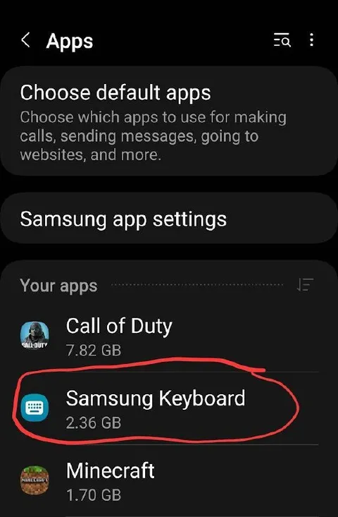 Samsung Keyboard Uses More Space Than Minecraft