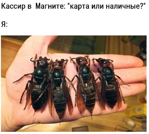 Карта или наличные у кассира
