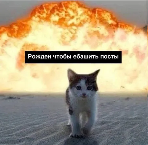 Котёнок, рождённый троллить