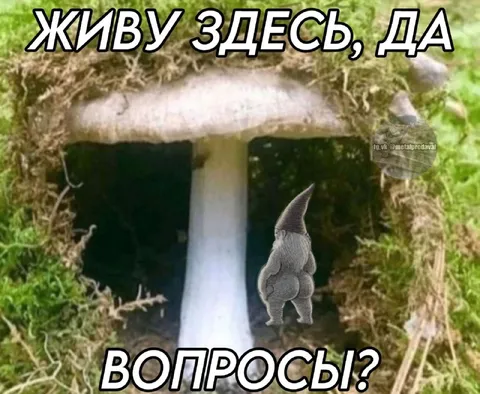 Живу здесь, да вопросы?