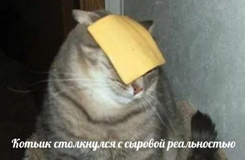 Котык столкнулся с суровой реальностью