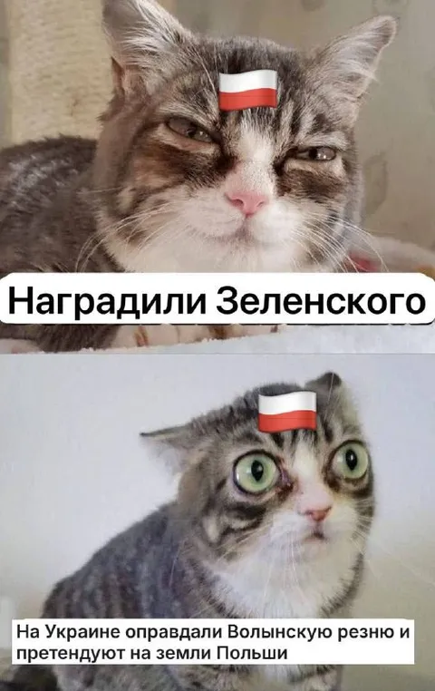 Наградили Зеленского