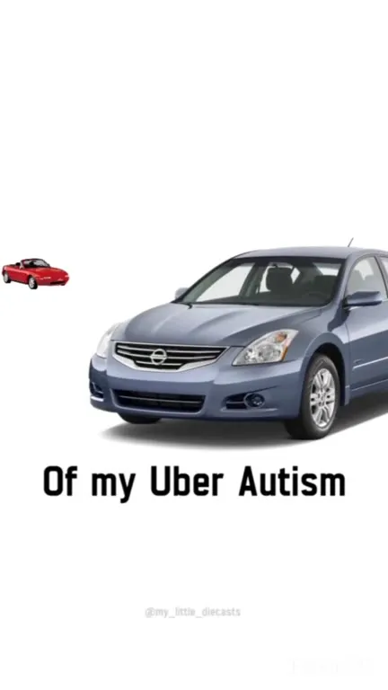 Uber Autism Car Crash