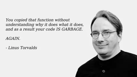Linus Torvalds Code Criticism