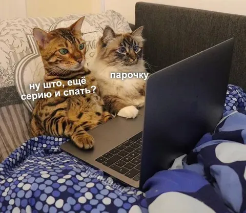 Ещё одну серию и спать