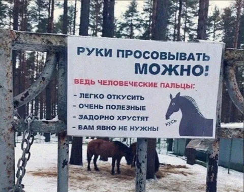 Руки просовывать можно