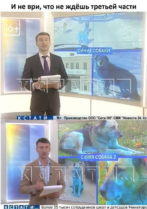 Синие собаки третья часть