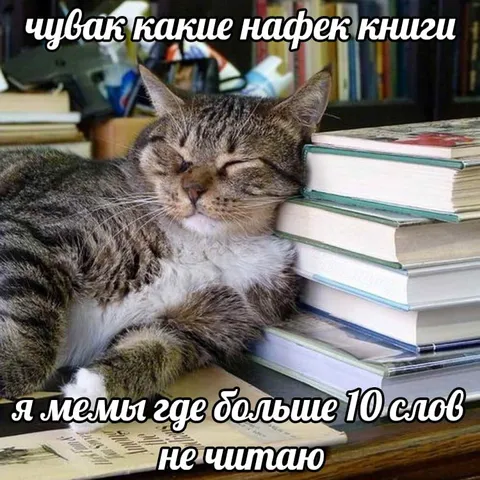 Кот не читает длинные мемы