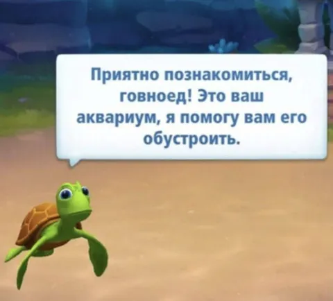 Черепаха предлагает обустроить аквариум