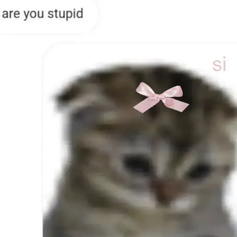 Are You Stupid? Si