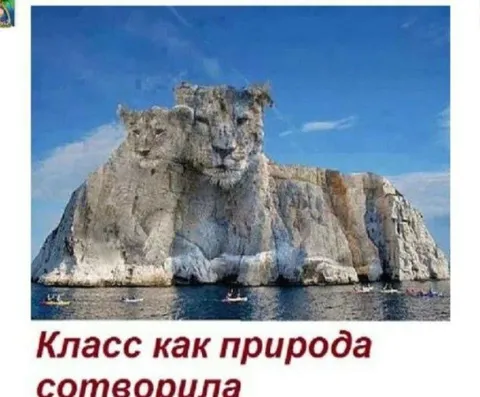 Класс как природа сотворила