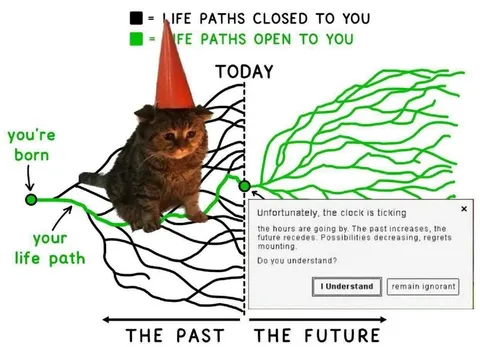 Cat Faces Life Paths