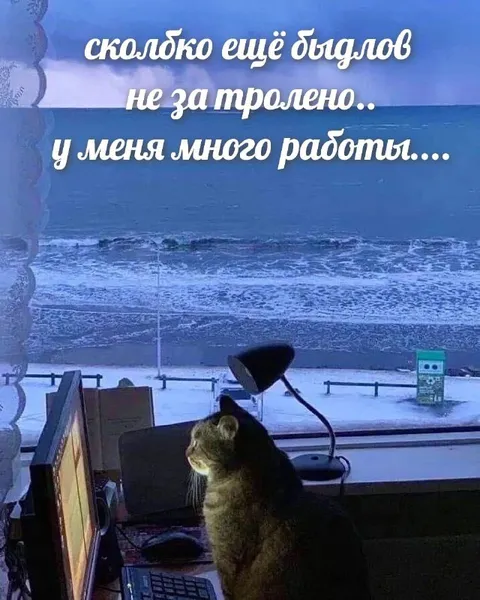 Сколько ещё выходных