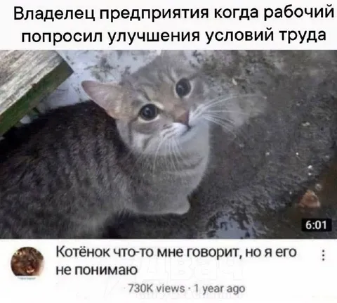 Начальник не понимает работника