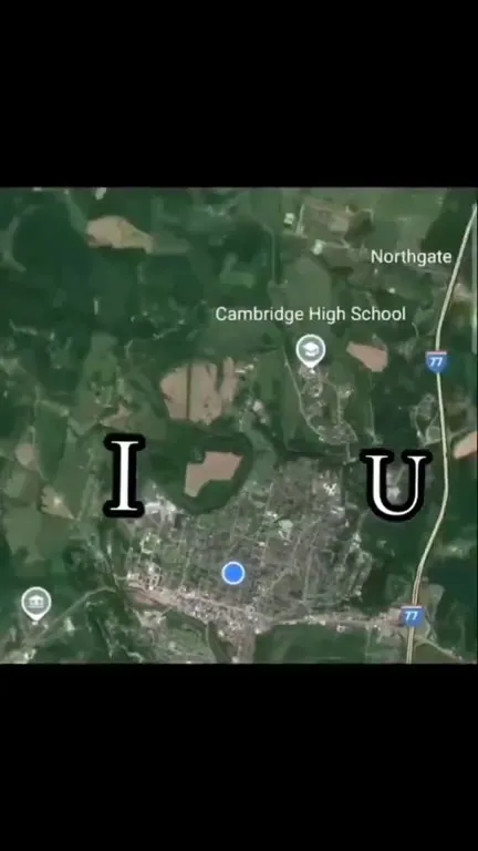 I U Job Application
