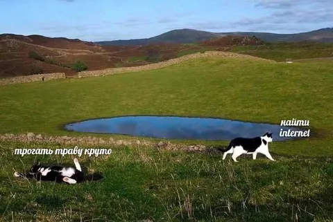 Трогать траву круто