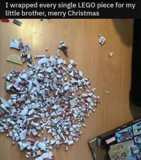 Every LEGO Piece Wrapped